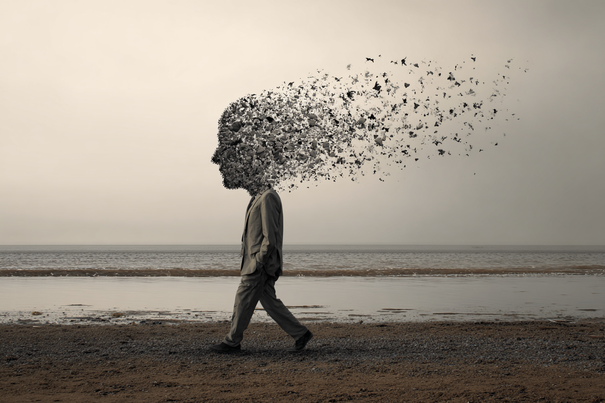 Когнитивный магнит: как память подчиняется воле