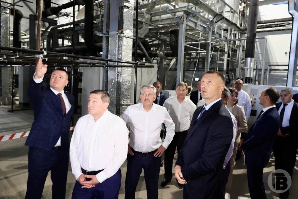    фото: Дмитрий Рогулин / "Городские вести"