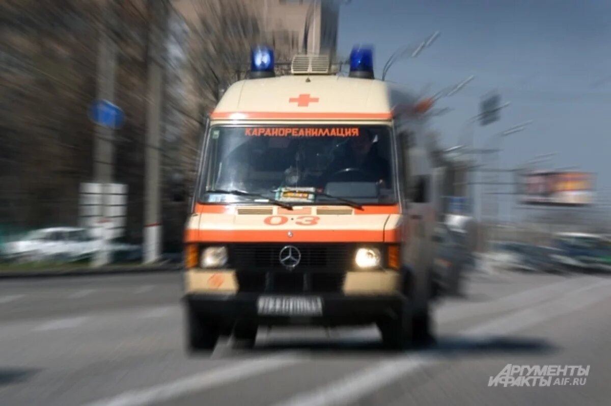    Была вхожа в семью Фрейндлих.