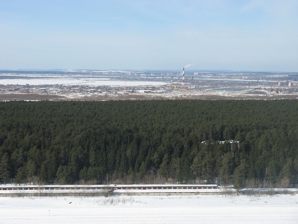 Черняевский лес. Авторство: Мастер Снов. Собственная работа, Общественное достояние, https://commons.wikimedia.org/w/index.php?curid=10651029
