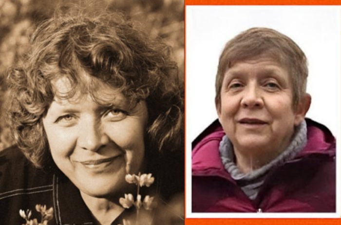 Фото "Наука в Сибири" и "ЛизаАлерт".