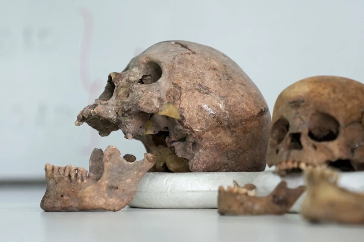    Затерянное племя.