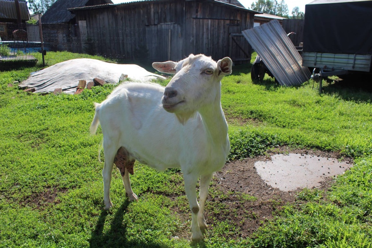    Фото: Telegram-канал «МВД 24»