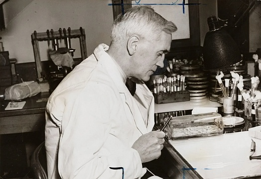 Источник: medswiss.ru