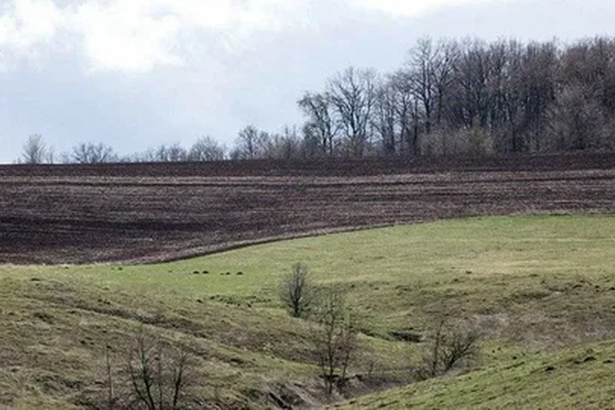    Фото: Павел Пахоменко, источник: ria.ru