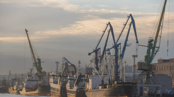     Фото: Мурманский морской рыбный порт