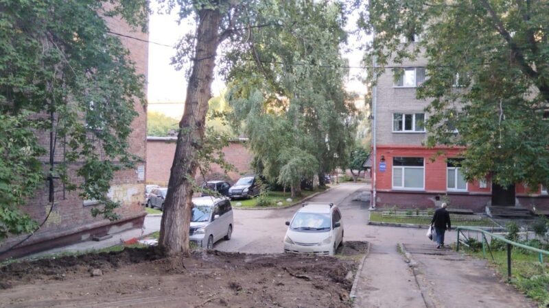    Фото: читатель Прецедента