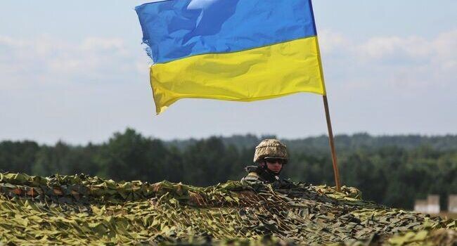 Предприниматель Ким Дотком: проект «Украина» завершен