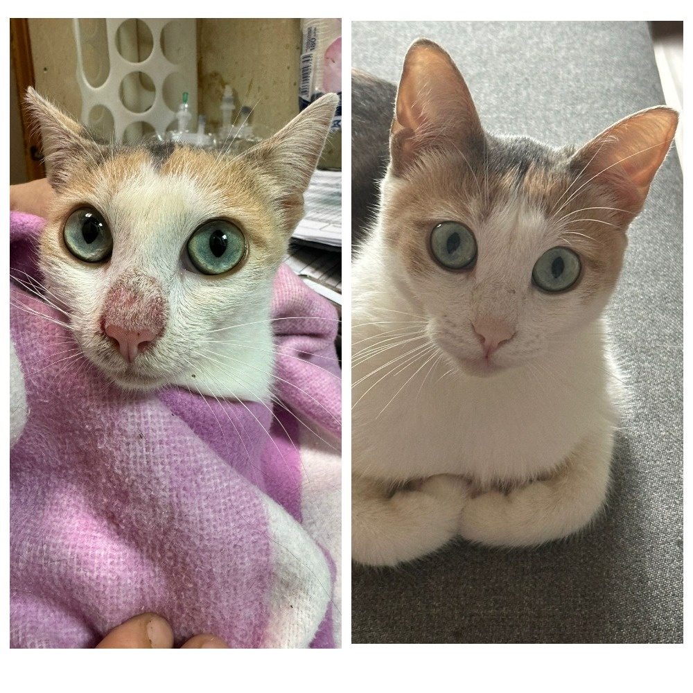 Мириам было около двух лет, когда она уехала домой 31 января 2025 года.