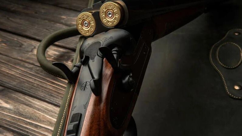    Фото: SolidMaks/Shutterstock/Fotodom