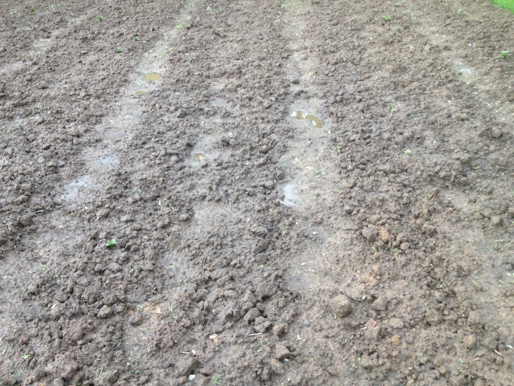 Даже заросшая сорняками почва — лучше чем пустая земля...