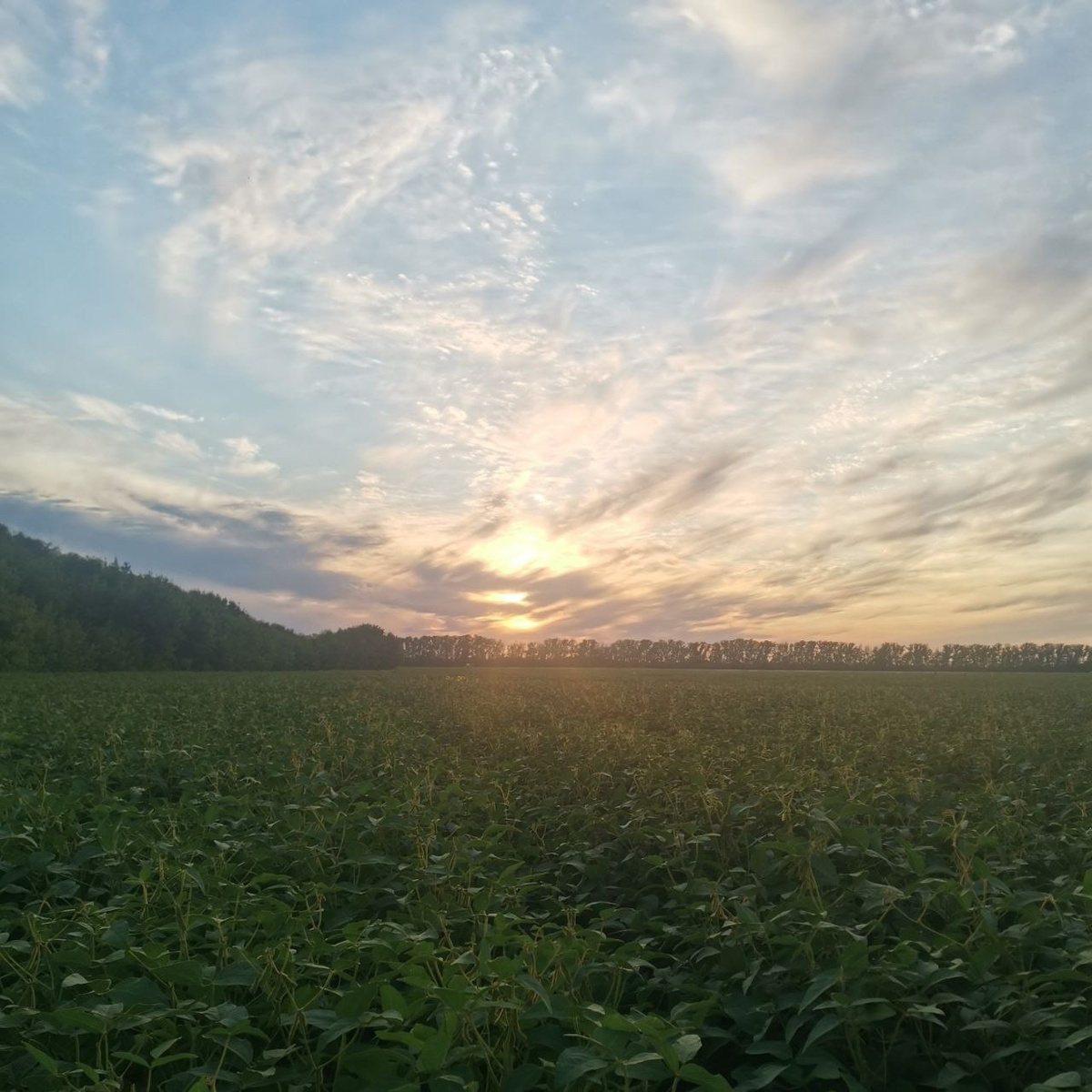   Фото: Анастасия Максименко