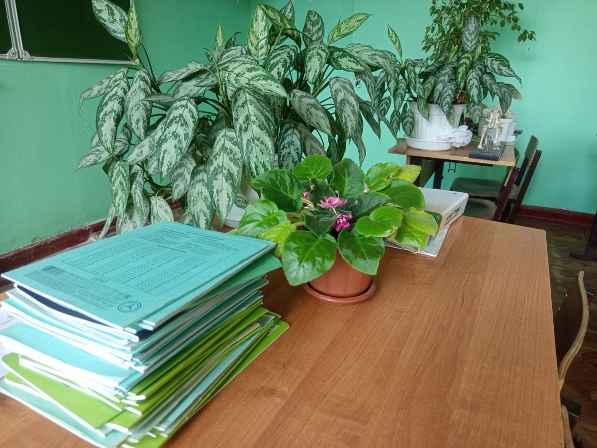 фото автора канала