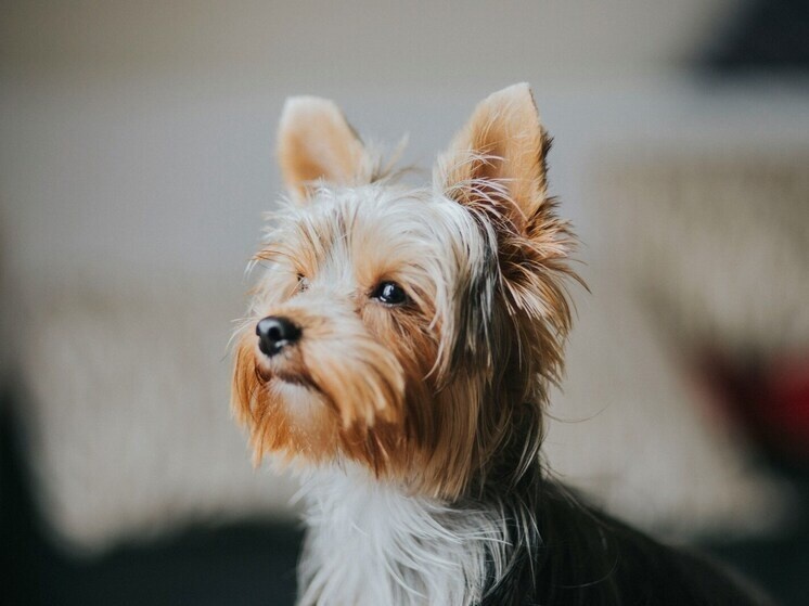     Фото: Fernanda Nuso/unsplash.com