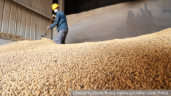     Фото: Cfoto/Keystone Press Agency/Global Look Press   
 Текст: Ольга Самофалова