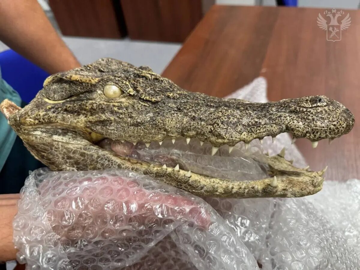    Фото: пресс-служба ФТС России.