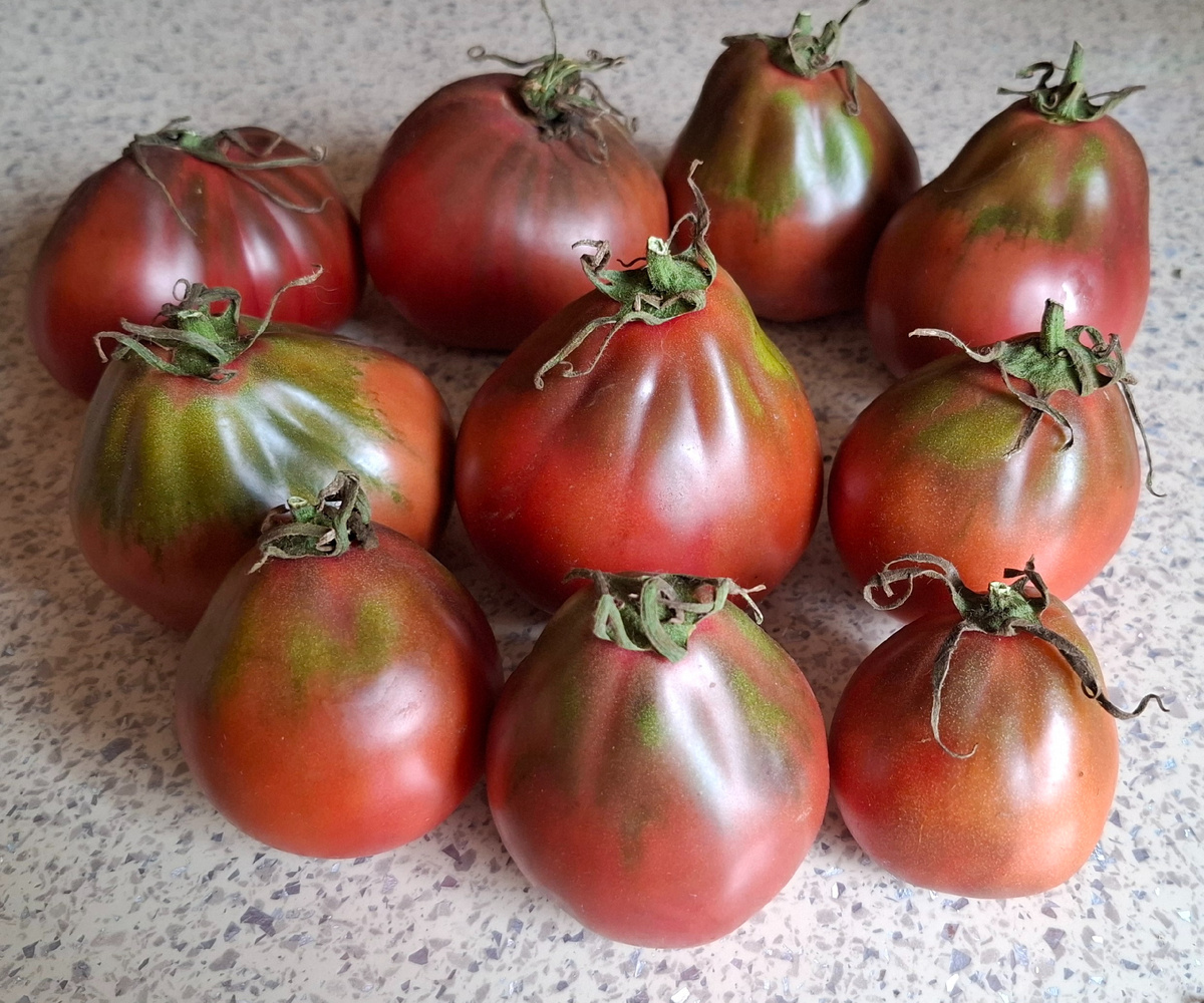 Древнее Сердце Равенны