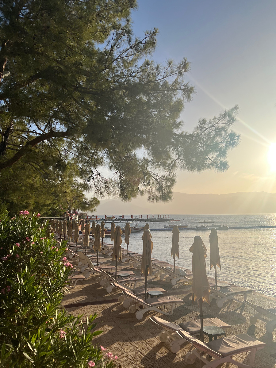 Фото автора статьи.