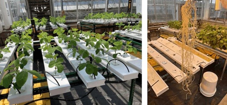    Фото: Virginia Tech