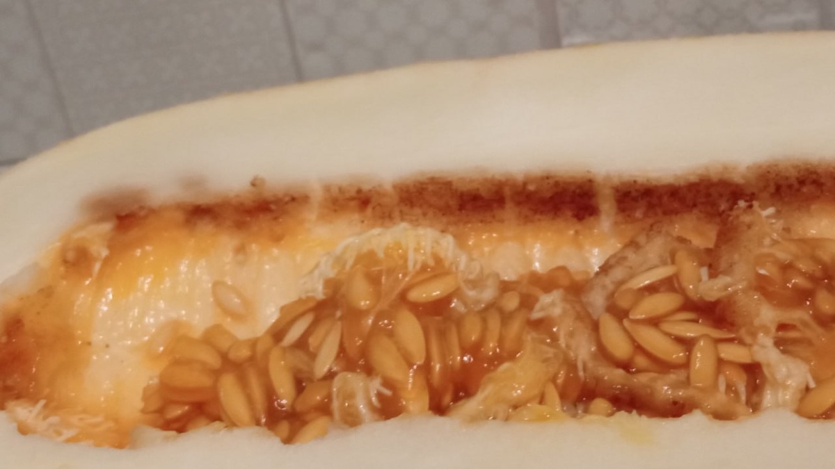    Фото: Управление Россельхознадзора по Красноярскому краю