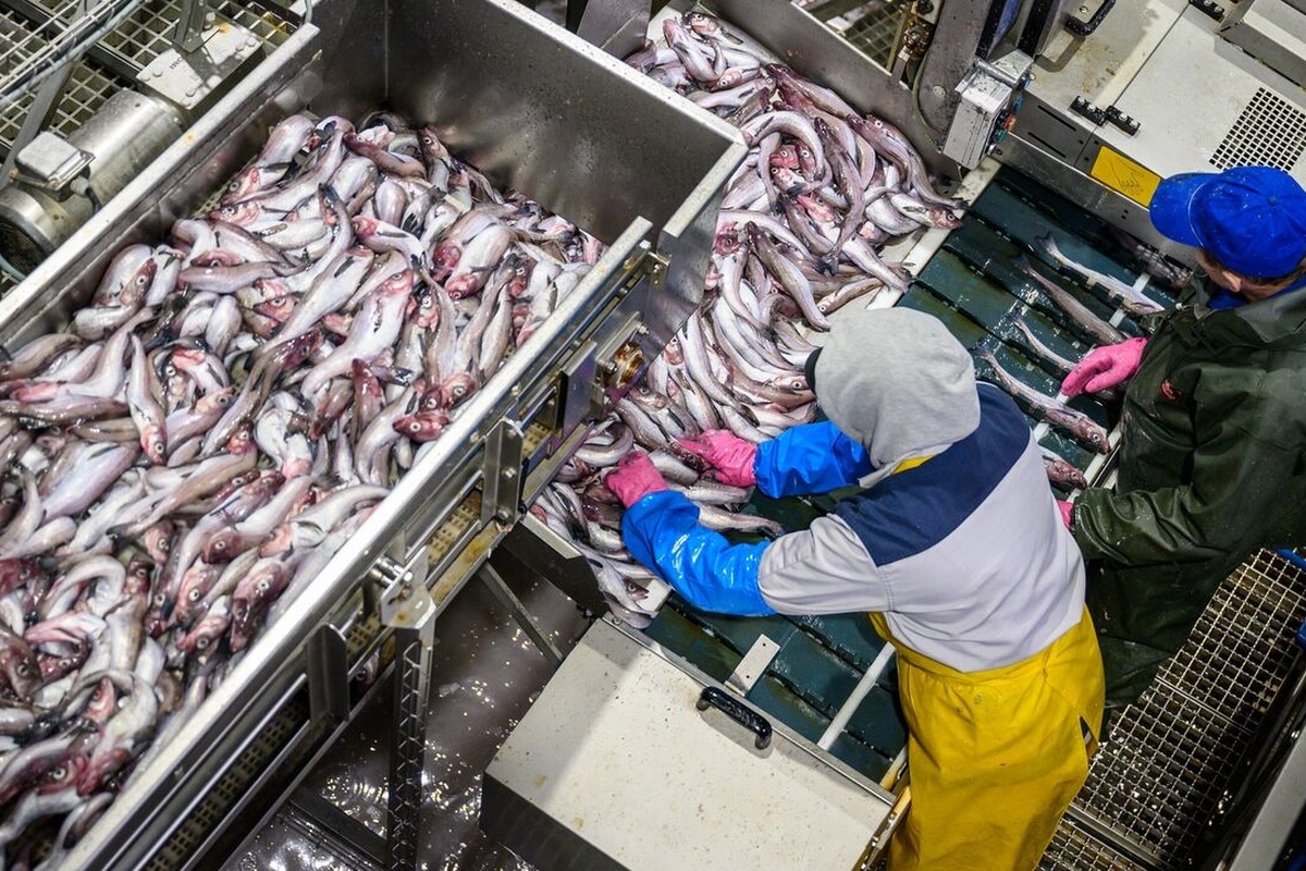    Фото: Сергей Красноухов, источник: ria.ru