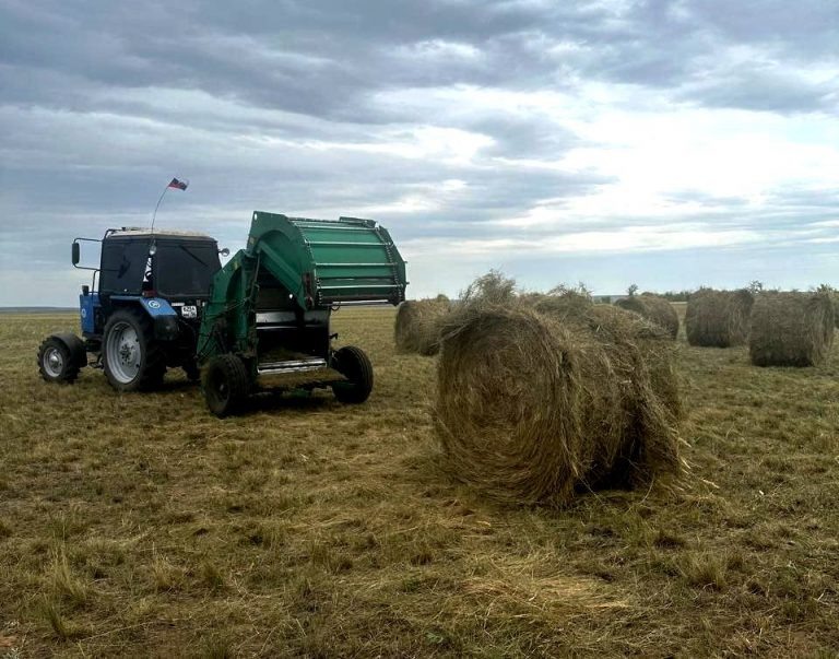    В оренбургском «Чёрном дельфине» заготовили 650 тонн грубых кормов Антон Пичурин