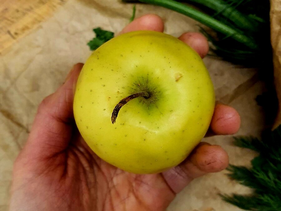 Фото из архива автора 