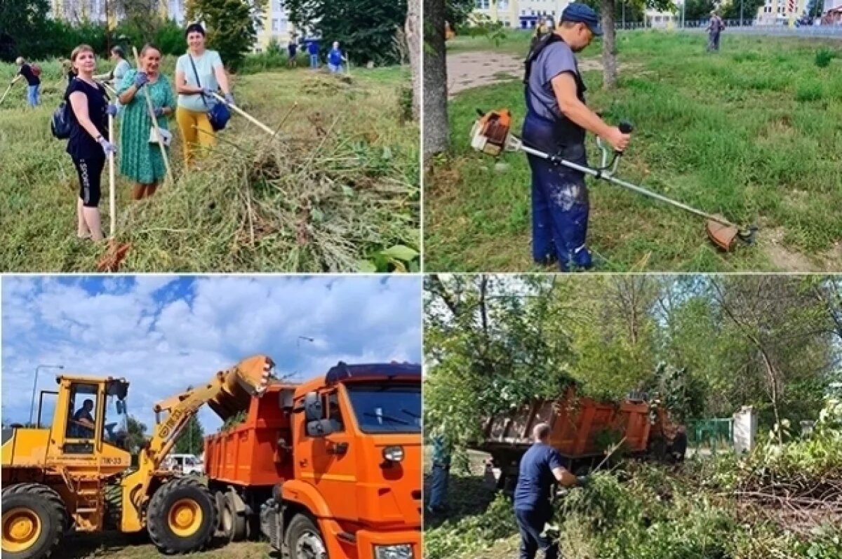    В Самаре привели в порядок более 263 тысяч квадратных метров газонов