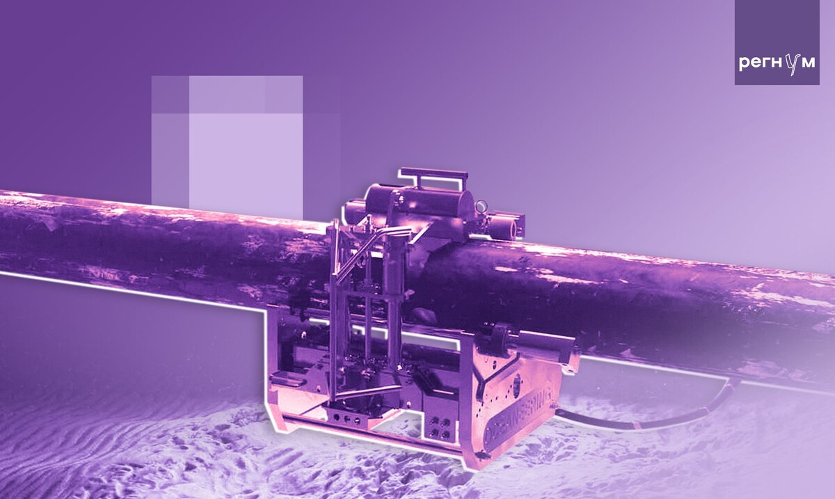     / Источник: © ИА Регнум