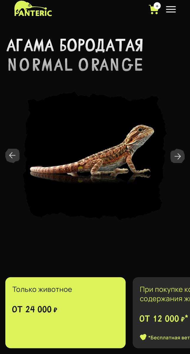 Агама с каталога PANTERIC