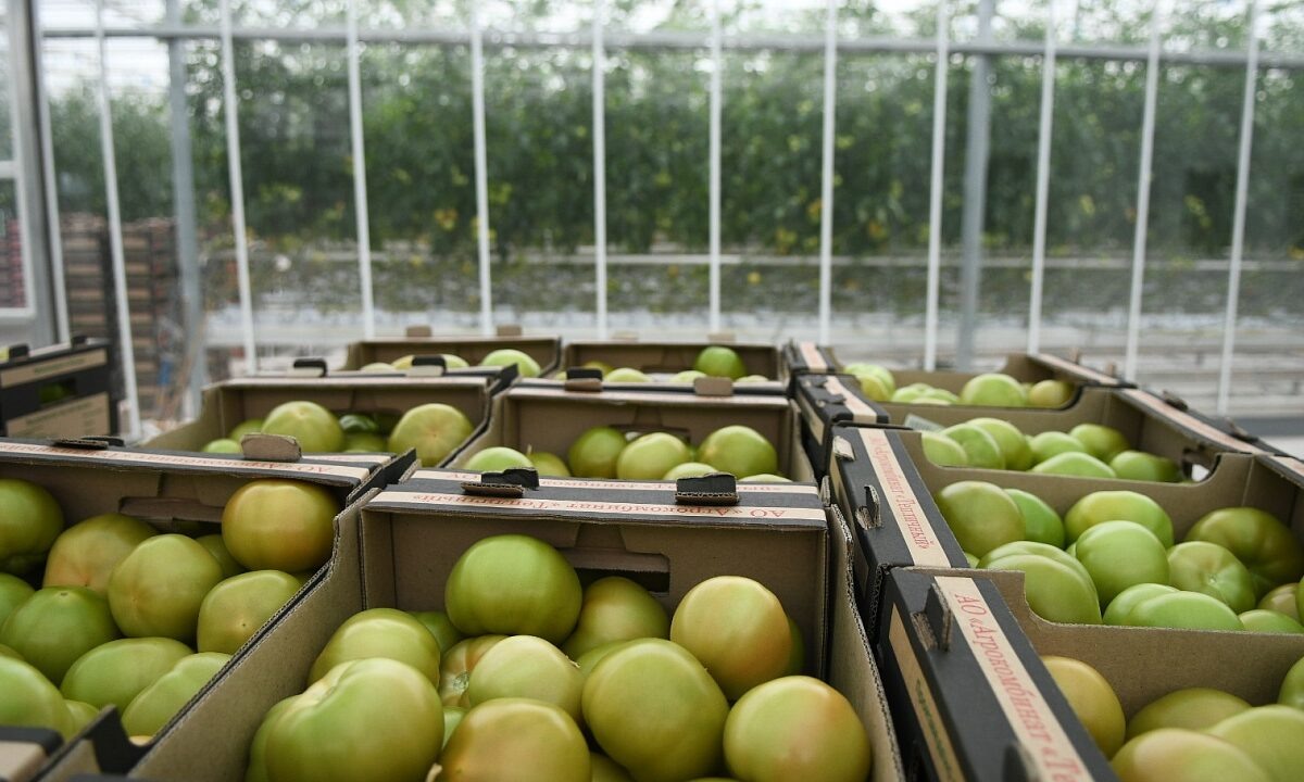    Фото пресс-службы администрации Краснодара