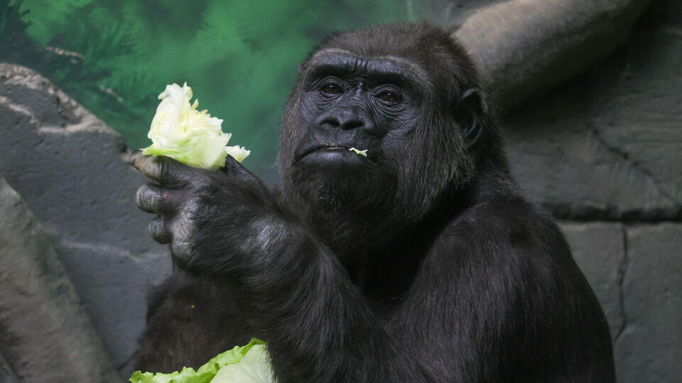 Фото: © www.globallookpress/Shatokhina Natalia