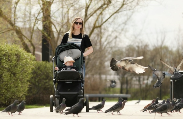 Фото: Григорий Сысоев/РИА Новости