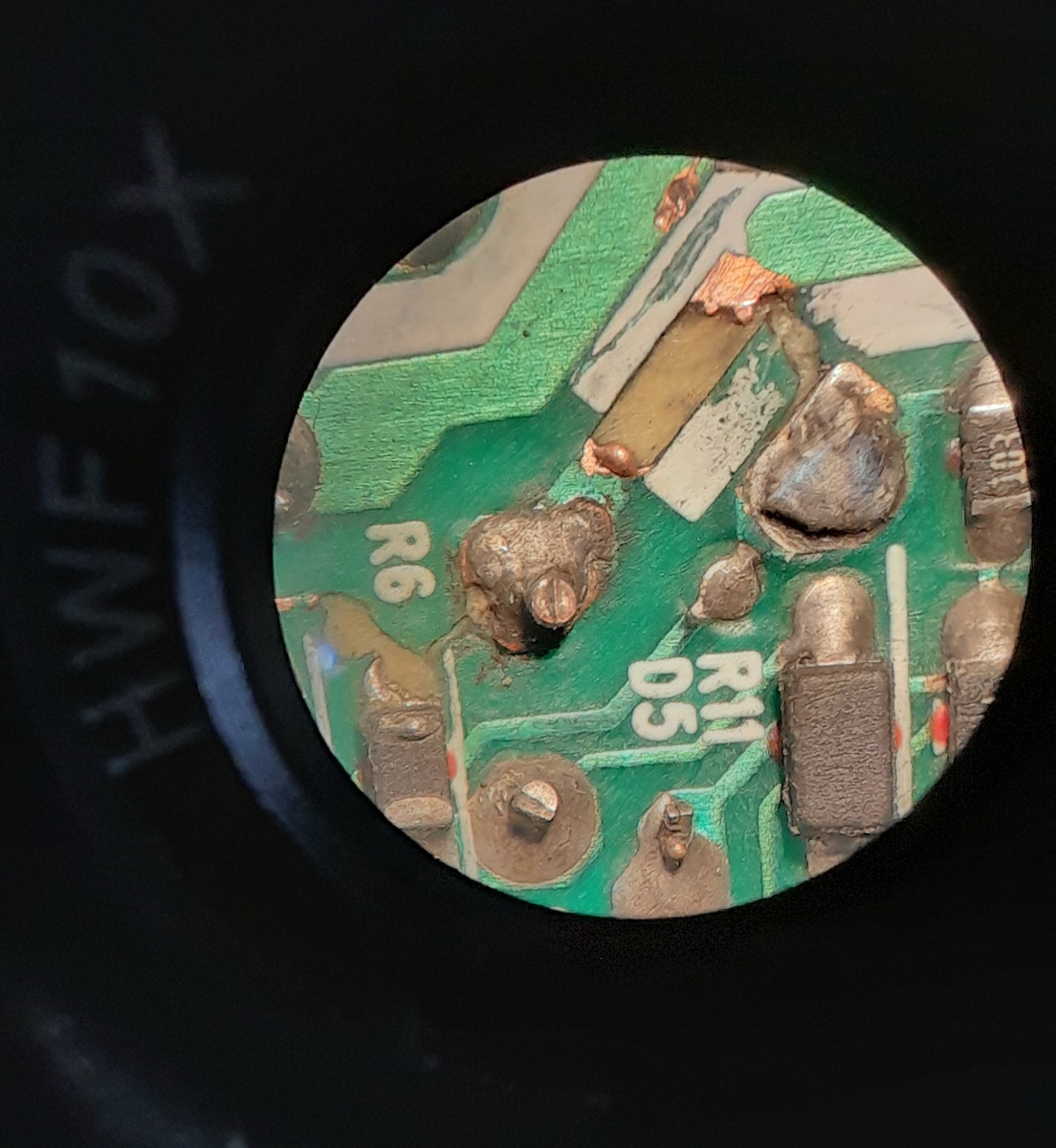 Фото автора.