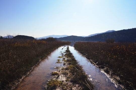    Европейские страны хотят заболотиться для защиты от России