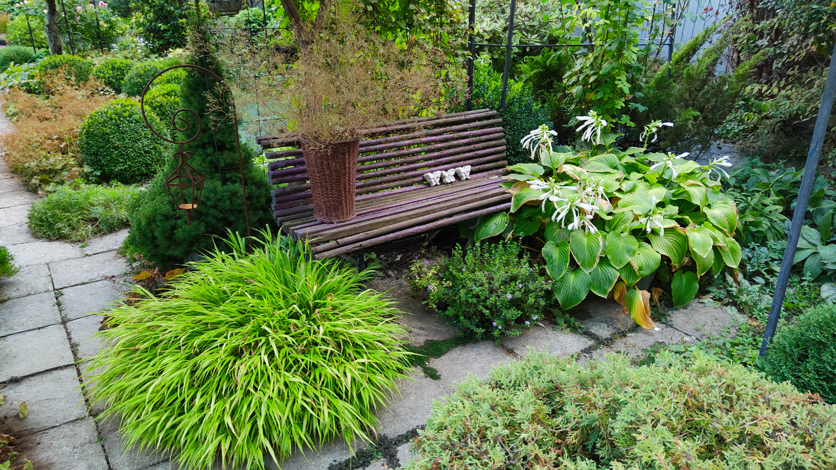 24.08.2025 г. В плетеном кашпо на лавочке стоят срезанные соцветия гипсофилы.