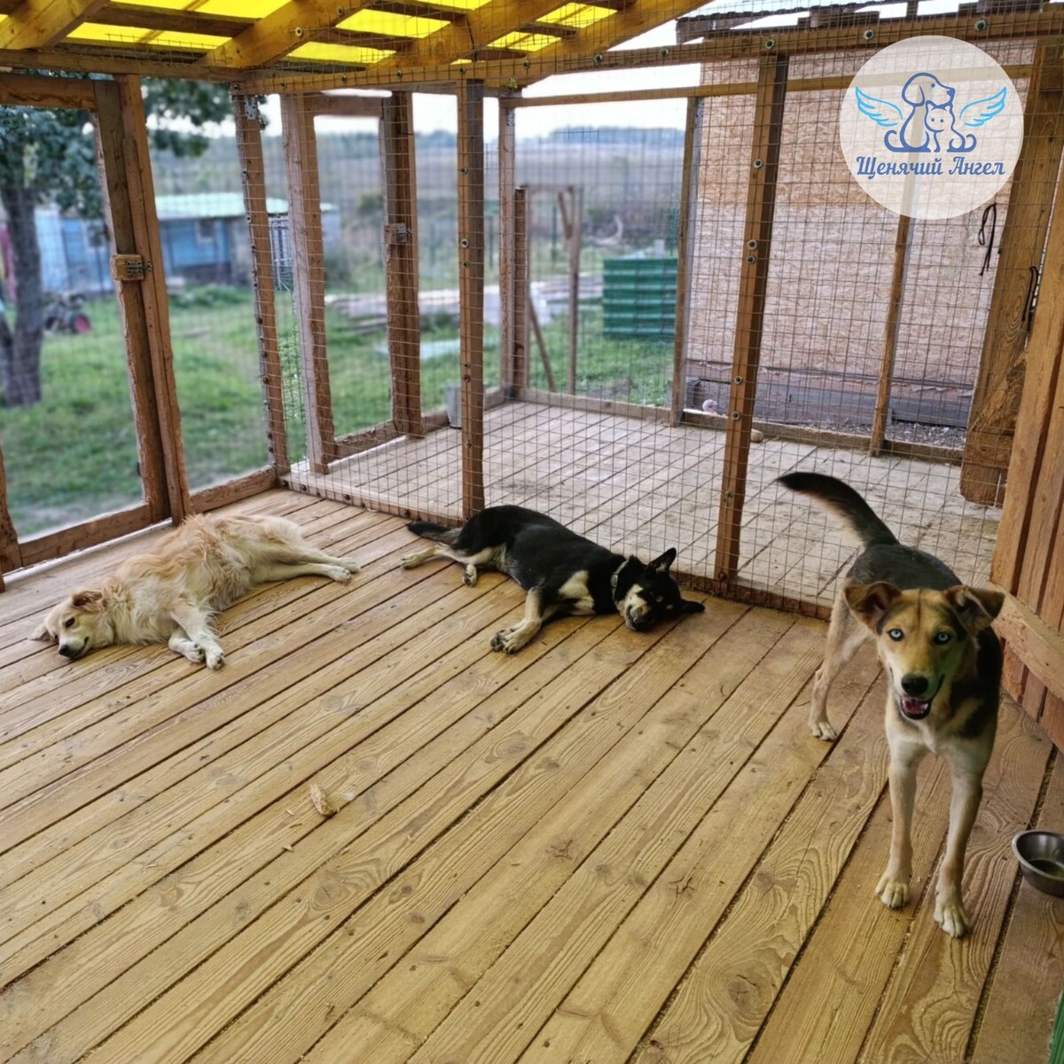 Вольеры на территории калужского подразделения