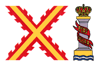 Флаг 11-го конгресса по вексиллологии. Источник: официальный сайт ФИАВ.