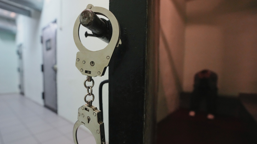    Фото: ИЗВЕСТИЯ/Дмитрий Коротаев; 5-tv.ru