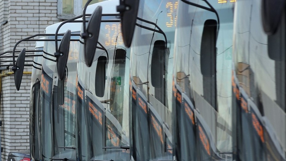    Автор фото: Ковалев Петр/"ДП"