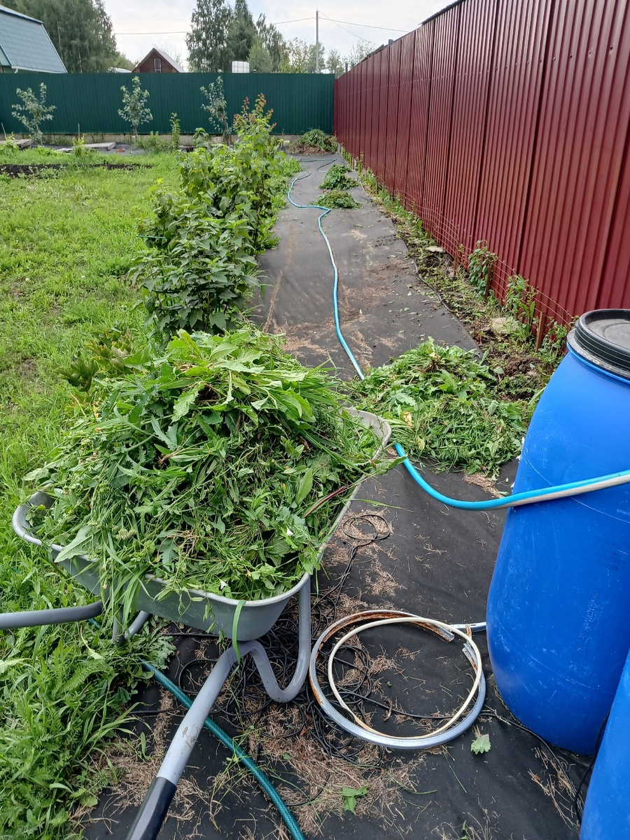 чисто вдоль одного забора подёргала сорняки)))