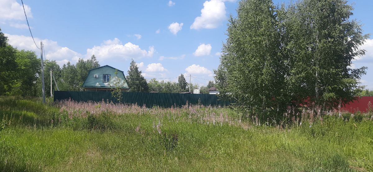 Таким был участок, когда мы приехали его посмотреть