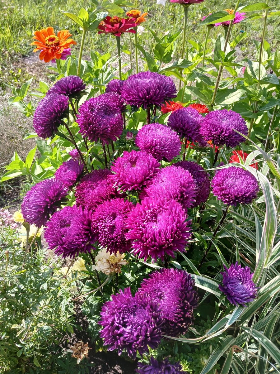 потрясающая