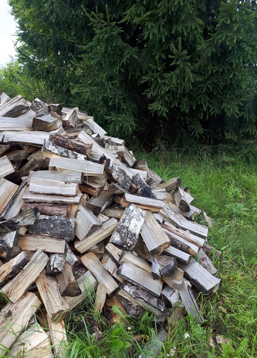 Фото автора 26.08.2025г.