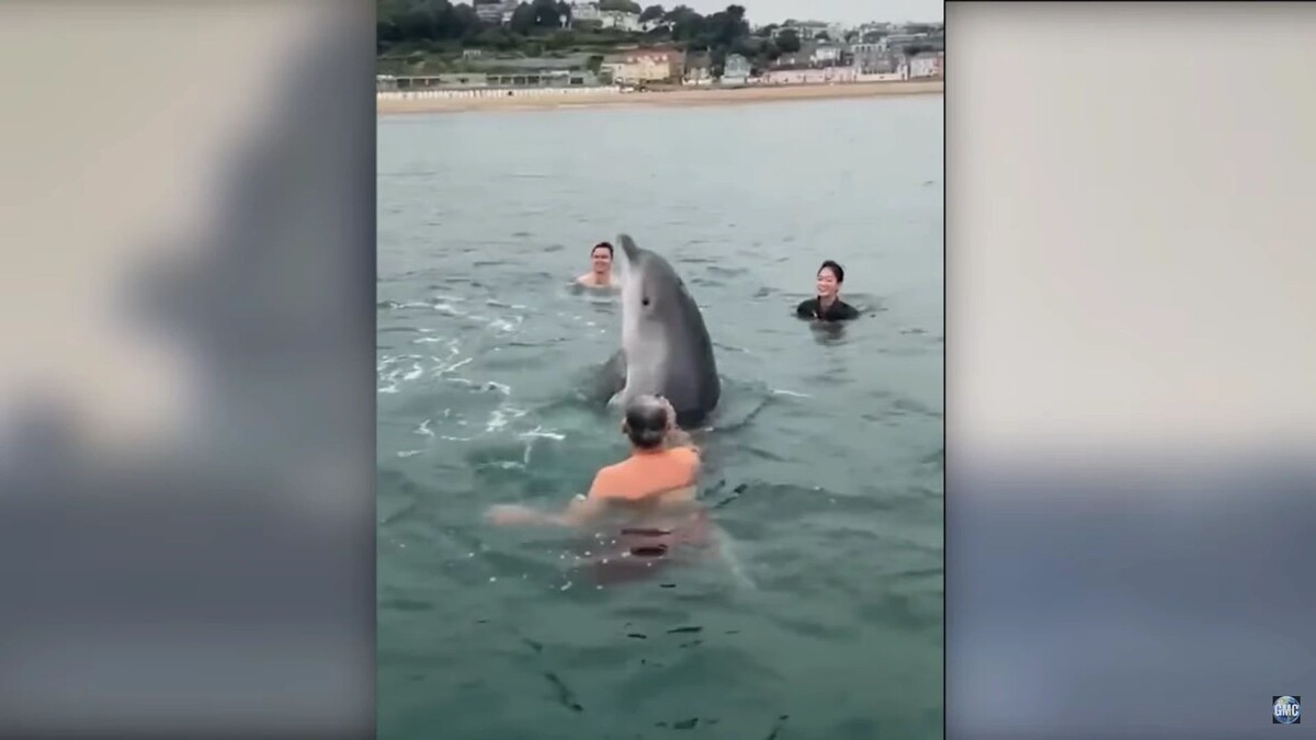    Кадр видео канала GMC/www.youtube.com/watch?v=bLo_jQK4Sfg