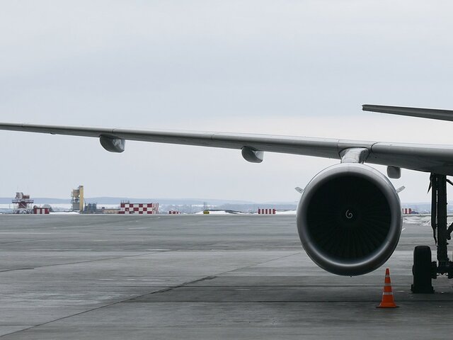    Фото: Москва 24/Антон Великжанин