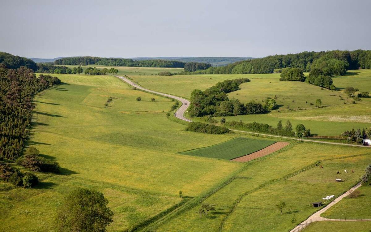    Структура сына депутата Евсеева втупую захватила крупный участок под Воронежем Фото – ru.freepik.com