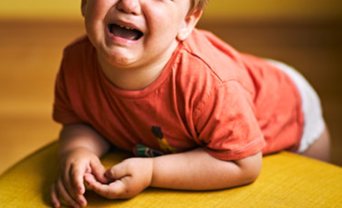 Фото носит иллюстративный характер: открытые источники