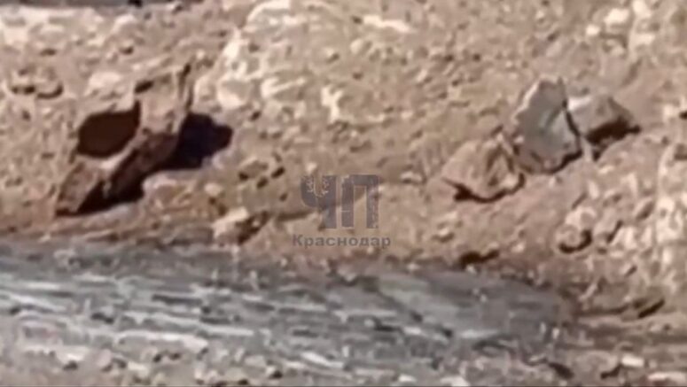    место происшествия / соцсети