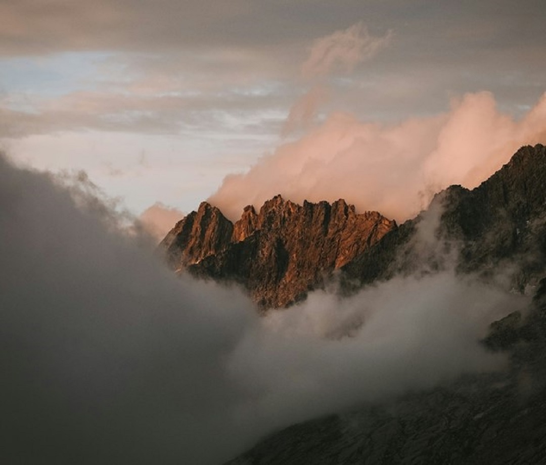 Источник: https://unsplash.com/  